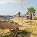 Sul Mare Al Gabbiano スコリッティ